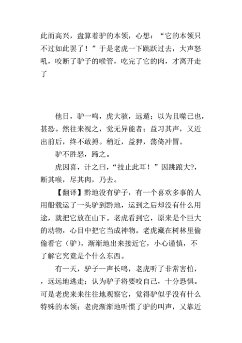 感受到了中文翻译的魅力