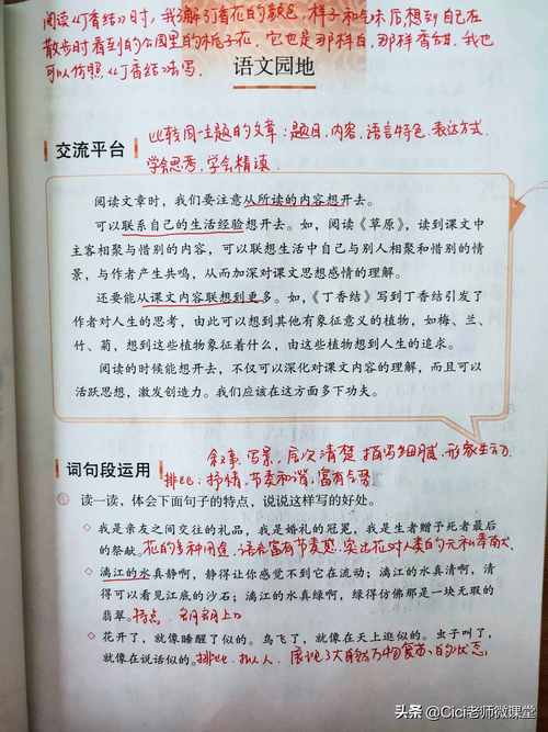 秦始皇本纪节选翻译秦初并天下