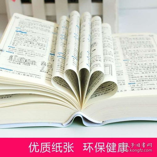 数学英语翻译是什么