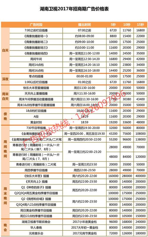 视频翻译公司