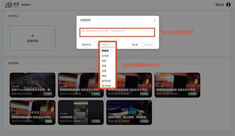 视频翻译语言