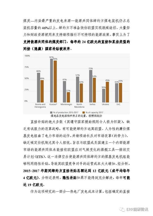 替代能源的英文翻译