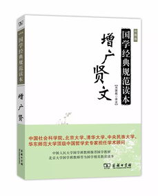 商务翻译实务第二版pdf