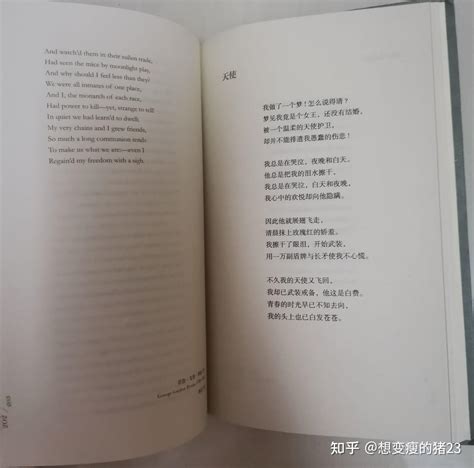 厉害英语翻译中文怎么说