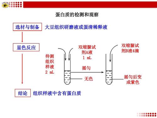 蛋白翻译后修饰有哪些