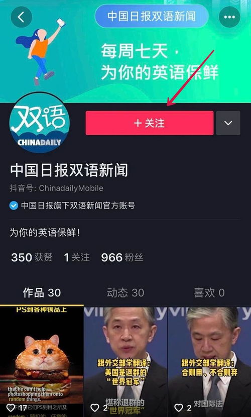 侧枝血管形成什么意思