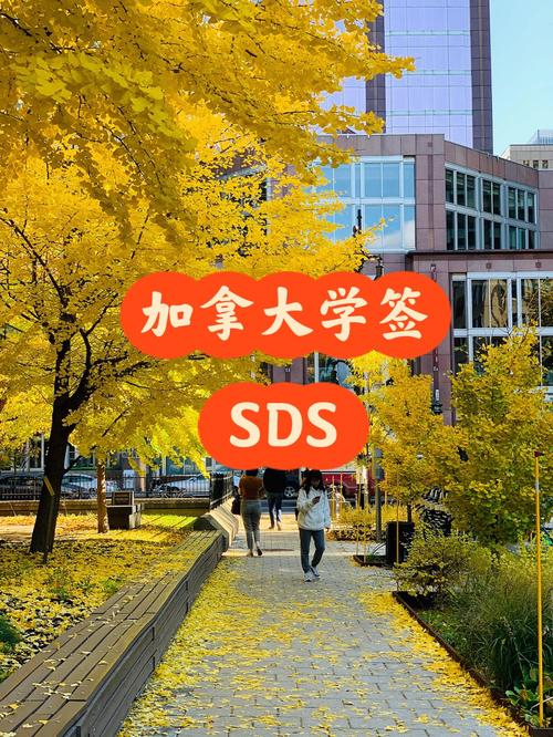 加拿大sds签证2020