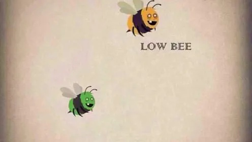 探讨bee的多重含义，从生物学到语言艺术的深度解析