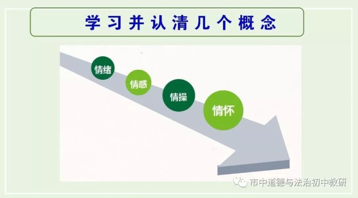 点燃思维的火种，深度解析初中政治教学策略与实践