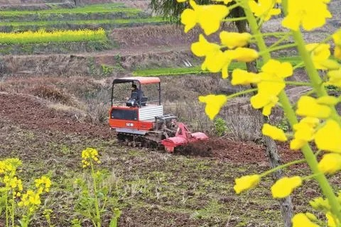 春回大地农事起，春耕备耕正当时