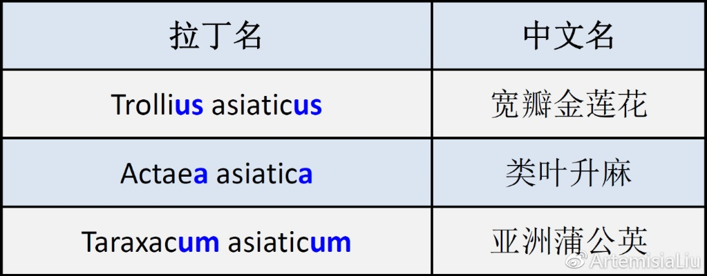 解锁拉丁文名字的魅力，探索其历史与用法